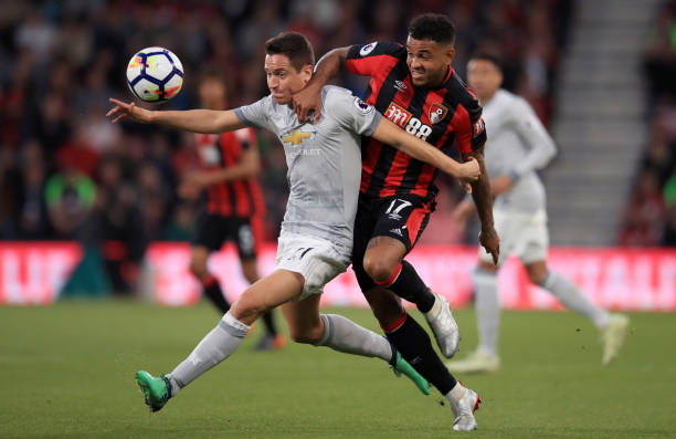 偏好和向往 偏好和向往